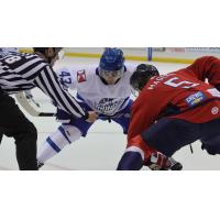 Wichita Thunder face off with the South Carolina Stingrays