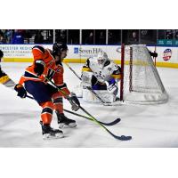 Worcester Railers' Anthony Repaci versus Norfolk Admirals' Kristian Stead