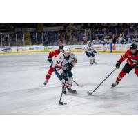 Springfield Thunderbirds' Mathias Laferriere in action