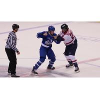 Wichita Thunder versus the South Carolina Stingrays' Josh Thrower