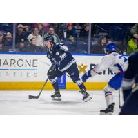 Worcester Railers handle the puck against the Trois-Rivieres Lions