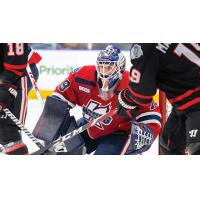 Kalamazoo Wings goaltender Hunter Vorva