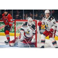 Grand Rapids Griffins goaltender Sebastian Cossa and defenseman Albert Johansson