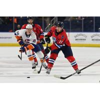 Bridgeport Islanders' Kyle MacLean and Springfield Thunderbirds' Hugh McGing in action