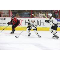 Wheeling Nailers' Matt Koopman in action