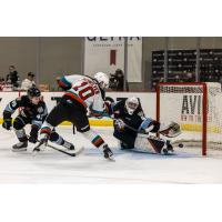 Kelowna Rockets' Luke Schelter and Portland Winterhawks' Ryder Thompson and Nick Avakyan in action