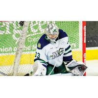 Maine Mariners goaltender Brad Arvanitis