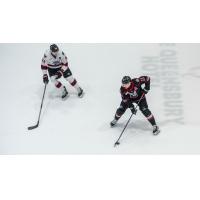 Reading Royals' Adam Brubacher and Adirondack Thunder's Shane Harper on the ice