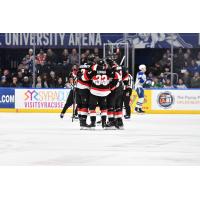 Belleville Senators celebrate win