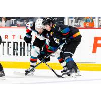 Kelowna Rockets battle the Portland Winterhawks