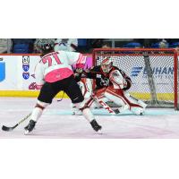 Reading Royals' Tag Bertuzzi and Adirondack Thunder's Tyler Brennan in acrtion