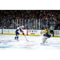 South Carolina Stingrays' Nick Leivermann versus Atlanta Gladiators' Griffin Luce