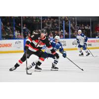 Belleville Senators' Matthew Highmore in action