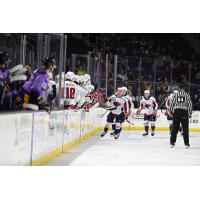 South Carolina Stingrays exchange congratulations along the bench