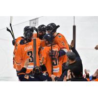 Greenville Swamp Rabbits celebrate a goal