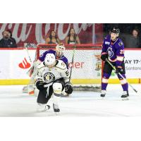 Wheeling Nailers forward Jordan Martel reacts after scoring against the Reading Royals