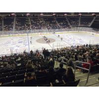 The Atlanta Gladiators take on the South Carolina Stingrays