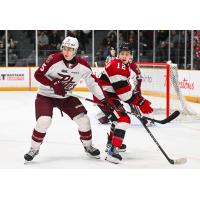 Peterborough Petes' Martin Matejicek and Ottawa 67's' Braeden Kressler on game night