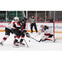 Belleville Senators' Bokondji Imama versus Utica Comets' Isaac Poulter