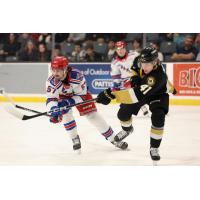 Kitchener Rangers' Trent Swick and Kingston Frontenacs' Quinton Burns in action