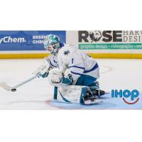 Wichita Thunder goaltender Beck Warm