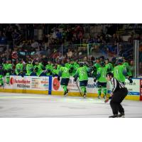 Springfield Ice-O-Topes celebrate win