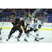 Vancouver Giant's Samuel Honzek and Wenatchee Wild's Briley Wood on the ice