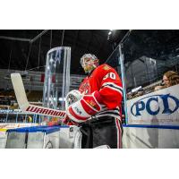 Rockford IceHogs goaltender Jaxson Stauber