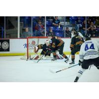 Vancouver Giants goaltender Brett Mirwald