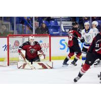 Vancouver Giants goaltender Brett Mirwald