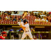 Fond du Lac Dock Spiders' Aiden Jolley at bat