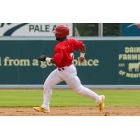 Winnipeg Goldeyes' Miles Simington in action