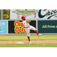 Winnipeg Goldeyes in action