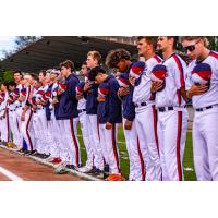 Victoria HarbourCats on game day