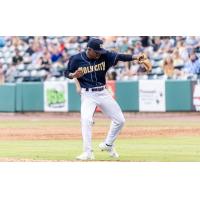 Charleston RiverDogs celebrate