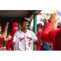 Portland Sea Dogs infielder Kristian Campbell