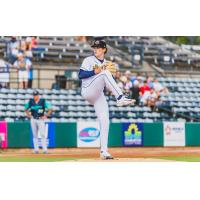 Charleston RiverDogs in action