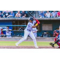 Charleston RiverDogs await a pitch