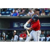 Pensacola Blue Wahoos at bat