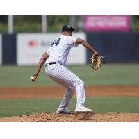 Tampa Tarpons pitcher Henry Lalane