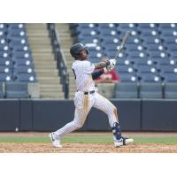 Tampa Tarpons with a big swing