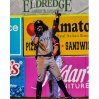 Anthony Seigler of the Somerset Patriots