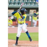 Tyler Tolbert of the Columbia Fireflies