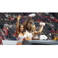 Jacksonville Sharks cheer team