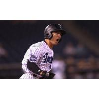 Anthony Volpe of the Tampa Tarpons reacts after a home run