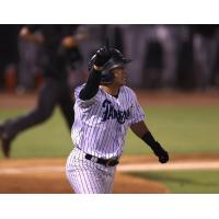 Anthony Volpe of the Tampa Tarpons reacts after a home run