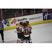 Fort Wayne Komets celebrate a goal against the Allen Americans