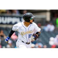 Amarillo Sod Poodles catcher Jose Herrera