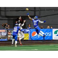 Columbus Lions vs. the Orlando Predators