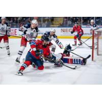 Springfield Thunderbirds left wing Hugh McGing reaches for a puck against the Hartford Wolf Pack